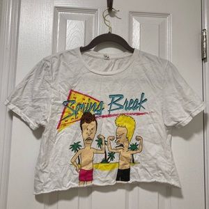 Beavis and Butthead crop tee